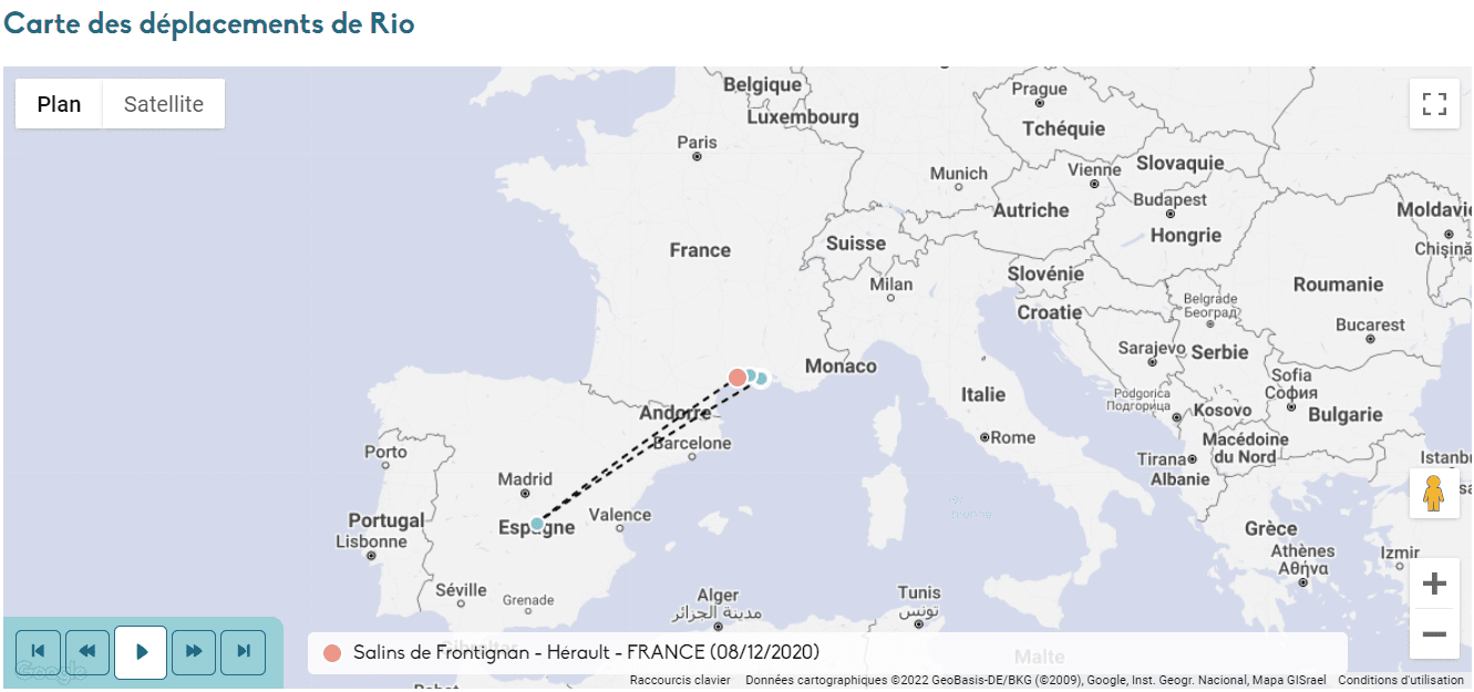 Carte des déplacements de Rio